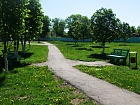 53.jpg